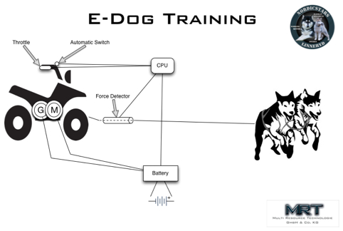 e-dog-bild
